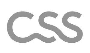 CSS Logo